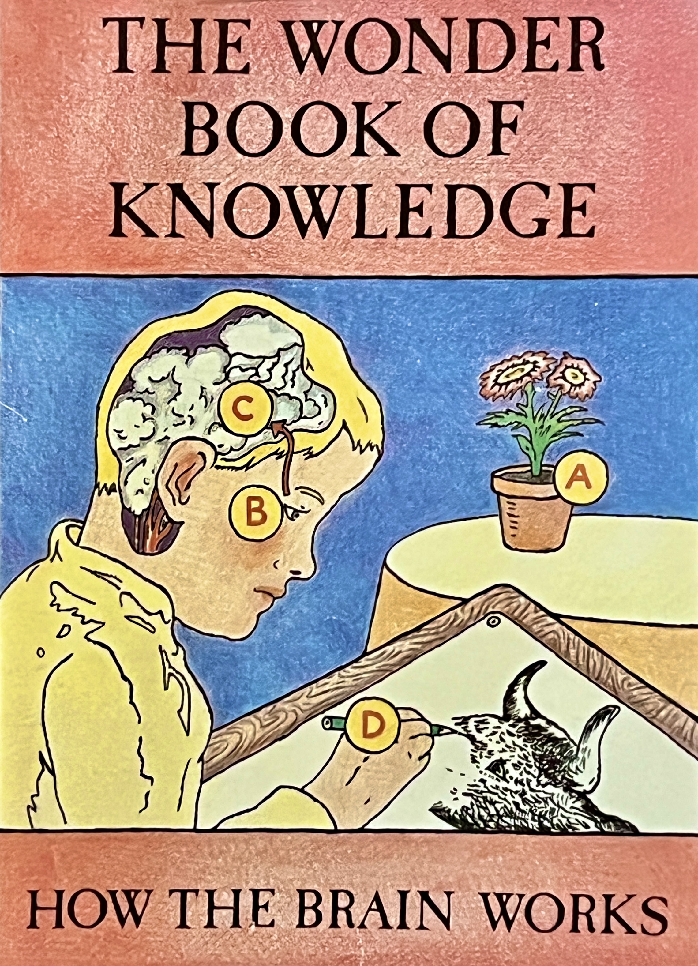 The Wonder Book of Knowledge — How the Brain Works