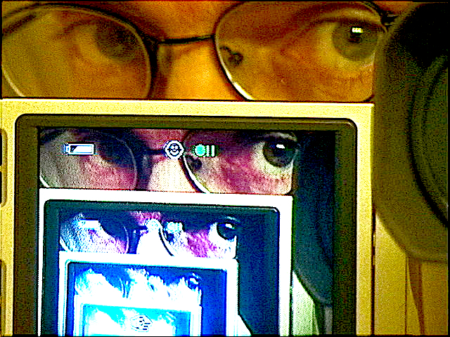 Dan Lloyd — recursive self-portrait