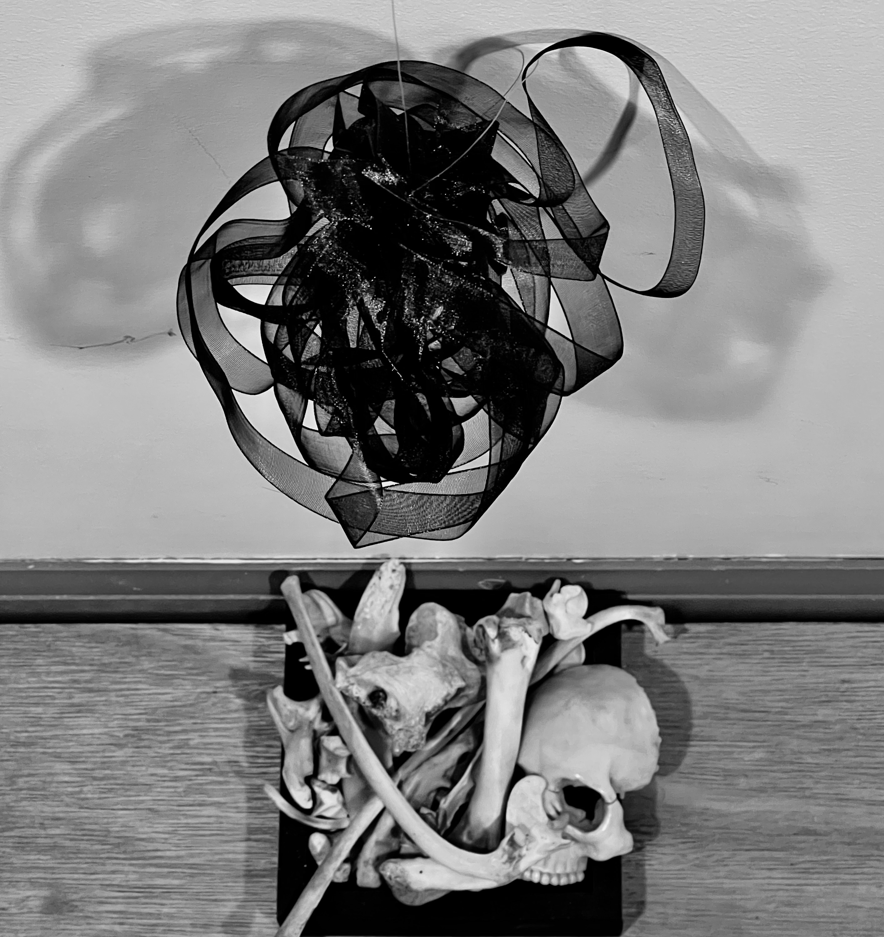 Suspended tangle of dark ribbon above a tray of bones — art installation by Dan Lloyd
